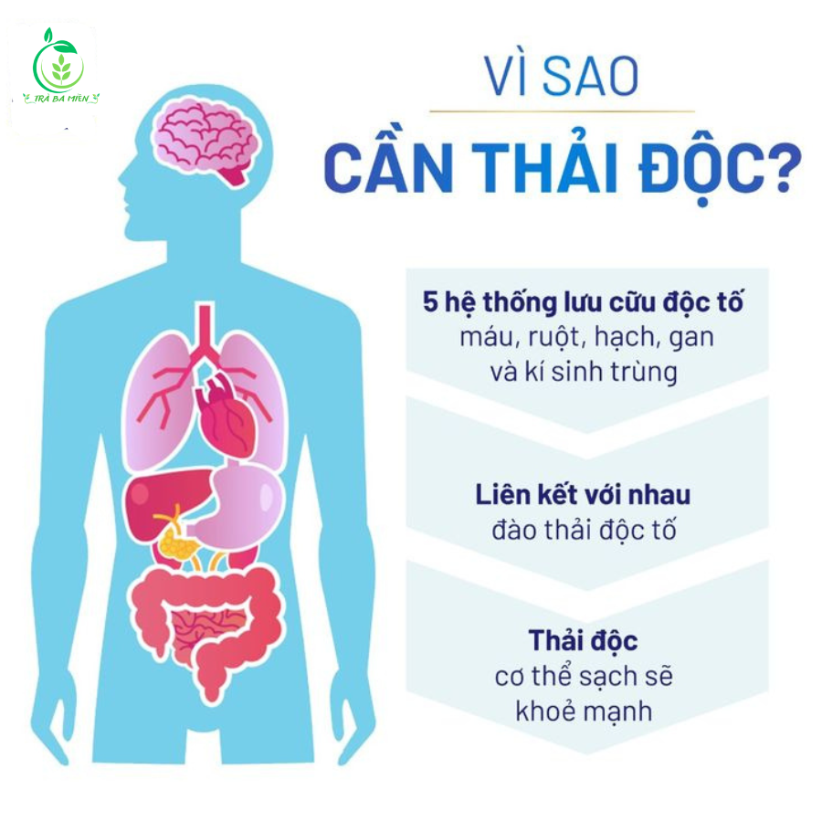 Tại sao cần thải độc